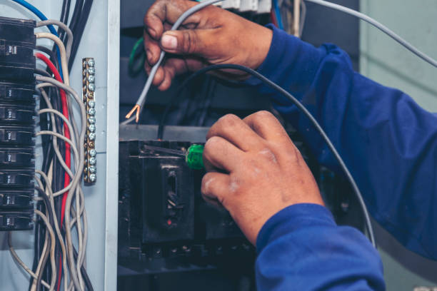 Best Electrical Upgrades for Homes  in Lake In The Hls, IL