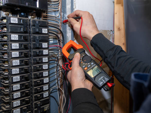 Best Electrician for Home Renovation  in Lake In The Hls, IL